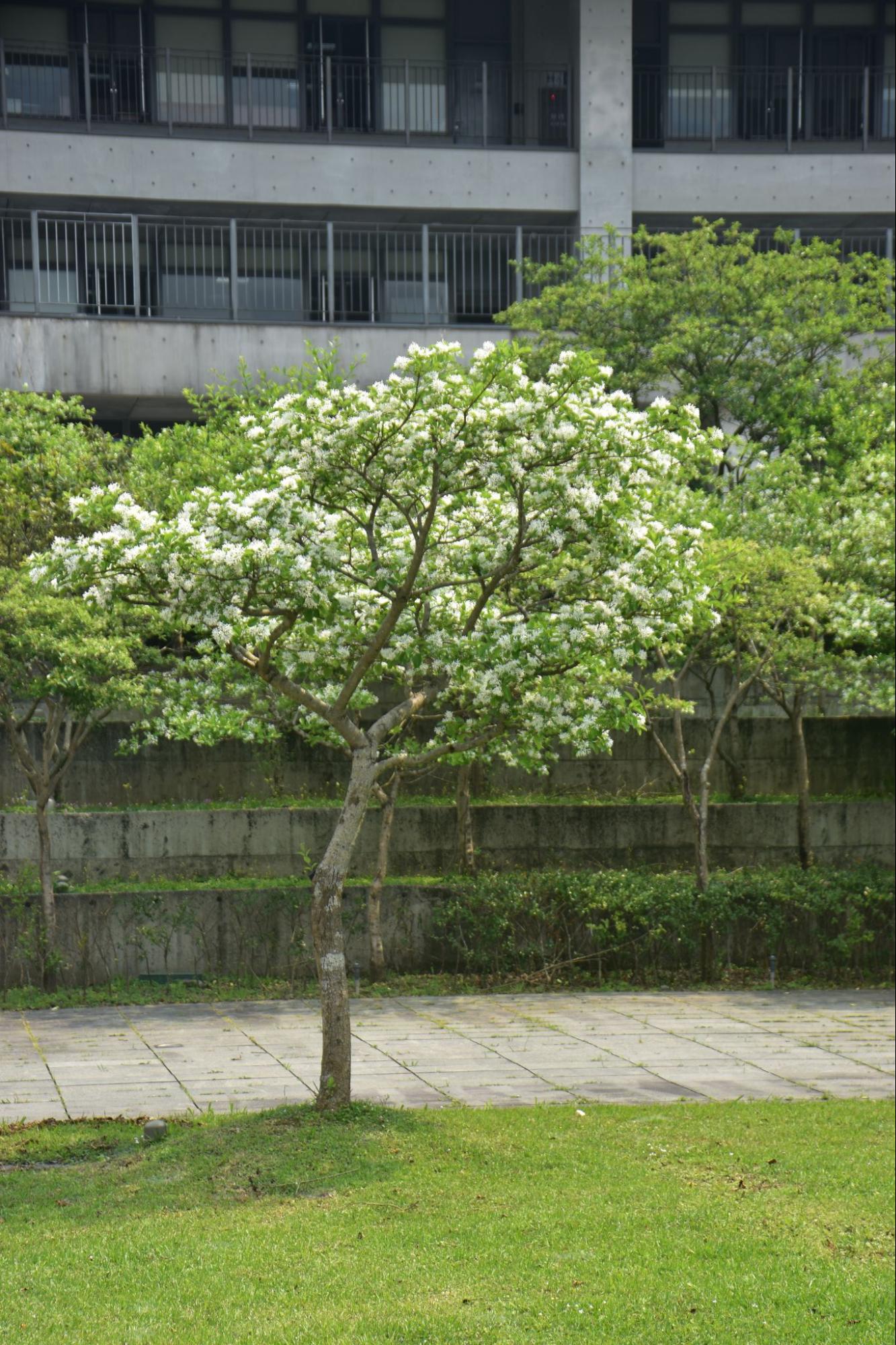 地理環境-1