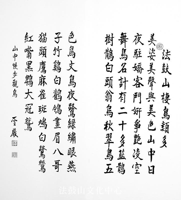 法鼓山棲鳥類多_聖嚴法師