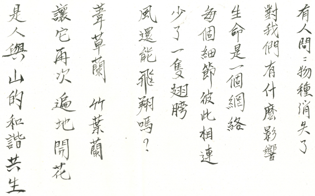 螢幕擷取畫面 2025-07-24 171055