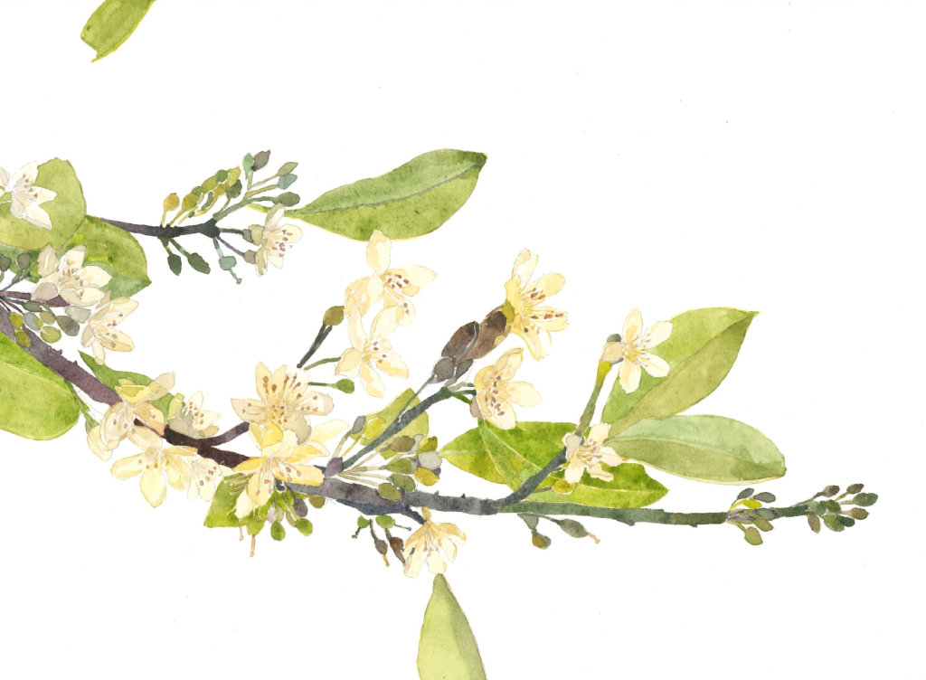 螢幕擷取畫面 2025-11-21 160936